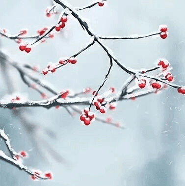 立冬到秦皇岛：跟着老辈人过暖冬，习俗里藏着最实在的温柔